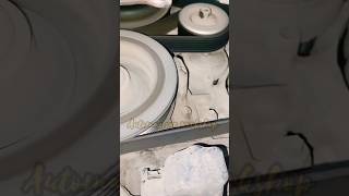 Adjector pulley bearing noise 😲🙄 mechanic shorts [upl. by Feerahs172]