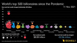 How The Worlds Top 500 Billionaires Have Fared Since the Pandemic [upl. by Akenor614]