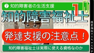 【知的障害福祉士❼１】｜発達支援の注意点！｜自立観についても解説｜テキスト第７巻 知的障害者の生活支援 [upl. by Buckler]