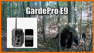 GardePro E9 Trail Cam Review Is It Worth The Price [upl. by Annehcu115]