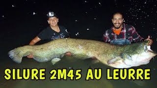 SILURE RECORD 2M45 au leurre gopro en direct Mohamed Fishing [upl. by Uriia]