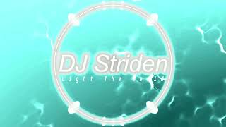 DJ Striden  LIGHT THE WORLD [upl. by Camila]