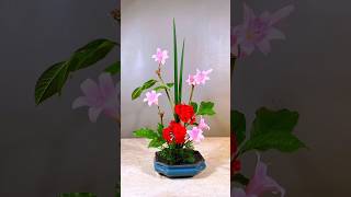 Pink Amaryllis and Red Geranium Flower Arrangement 花藝 flowers [upl. by Maharba]