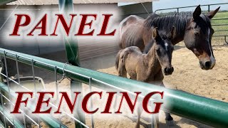 How to build a welded wire fence  Cattle panels and Corral panels  Foal Fencing [upl. by Barbaresi807]