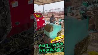 Silage baler fermentation storage random stacking can be used regardless of the environment [upl. by Ellehcit]