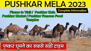 Pushkar Mela 2023 Pushkar Camel Fair Mela 2023 – पुष्कर मेला 2023 – Tourists Places Pushkar [upl. by Ahsaeyt]