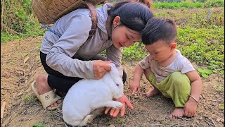 The life of a 17yearold single mother Harvesting Vegetables for Sale  Saving Pregnant Rabbits [upl. by Viquelia112]