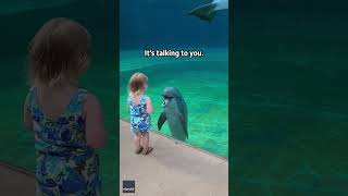 Little girl and super social dolphin stop to have a sweet chat  Humankind shorts goodnews [upl. by Eidnahs194]