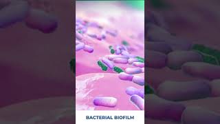 योनि के Bacteria की श्लेष्मा Mucous पदार्थ  Bacterial Bio Film in Vagina bacteria shorts [upl. by Bruell]