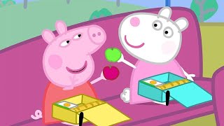 Kids TV and Stories  School Bus Trip Peppa Pig Full Episodes [upl. by Decca135]