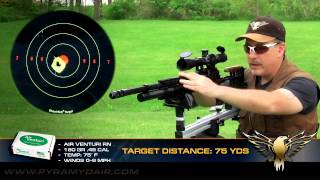 Evanix Tactical Sniper Air Rifle  Airgun Reporter Episode 115 [upl. by Eirac630]