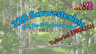 320 Brahms  Schwesterlein  The Flute Colors way  Tutorial English [upl. by Atterys]