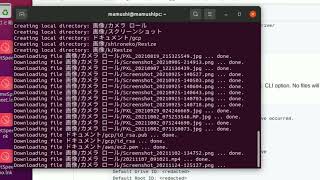 LinuxでOneDriveを使用する [upl. by Alisander546]