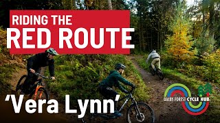 Mountain Biking In Dalby Forest Red Route  Vera Lynn [upl. by Rehtul745]