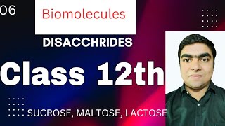 Biomolecules Class 12th DISACCHRIDES  Sucrose Maltose amp Lactose [upl. by Masao]