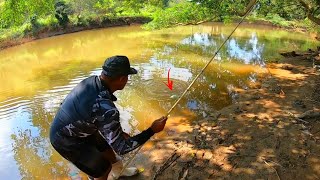 ESSE RIO SE DER BOBEIRA OS PEIXES LEVAM TODAS AS VARAS DE BAMBU [upl. by Claudio]