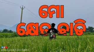 ମୋର ଚାଷ ଜମି ଉପରେ କିଛି ସୂଚନା। My farm youtube vlog odiavlog farming feed paulochee5846 [upl. by Tiphani]