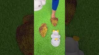 Super cool jackfruit slippers 😵😵😵 Duck sandals 🦆🦆 love trending slippers [upl. by Ellednek405]