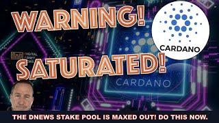 OUR CARDANO ADA STAKE POOL AT DNEWS IS FULL HERES WHAT TO DO NOW TO AVOID LOSING REWARDS [upl. by Kort]