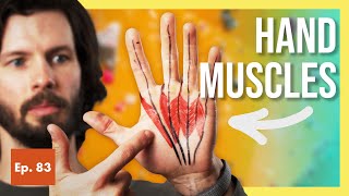 What Climbers Should Know About Lumbricals STRANGE Hand Muscles [upl. by Jessalin333]