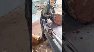 Dangerous Firewood Processor Shorts Viral Woodworking Skills [upl. by Oeht]