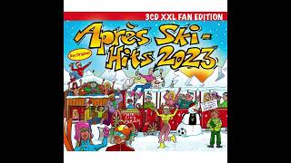 Apres Ski Hits 2023 Album Info [upl. by Ordnazil]