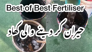 Best of Best FertilizerSurprise kar dainay wali fertilizer [upl. by Anastas]