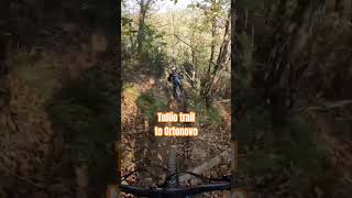 Tullio trail to Ortonovo ebike mtb enduro dh tulliotrail ortonovo [upl. by Celin]