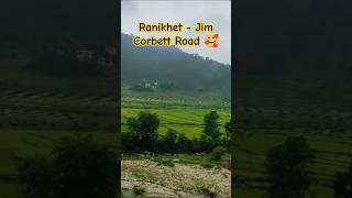 Ranikhet  Jim Corbett Road 🥰 travel nature mountains ranikhet jimcorbett roadtrip cartrip [upl. by Salomie]