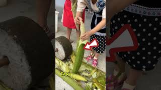 This whole family works day and night to make this natural Lofa 😱🫡 respect shorts ytshorts [upl. by Endora]