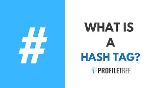 What Is A Hashtag How to Use Hashtags on Instagram [upl. by Noral139]