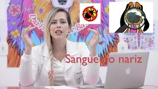 SANGUE PELO NARIZ DO SEU CÃO O QUE PODE SER  O QUE FAZER [upl. by Bernadette]