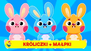 KRĂ“LICZKI  MAĹPKI  ĹšPIEWAJÄ„CE BRZDÄ„CE  PIOSENKI DLA DZIECI [upl. by Ahseila]