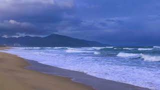 Ocean Sounds For Deep Sleep 🌷 The Most Relaxing Ocean Sand Palm 🌷Stress Relief Ocean Ambience [upl. by Tekcirk]