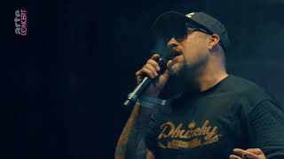 Cypress Hill Live Cabaret Vert Festival 2017 [upl. by Yelserp]