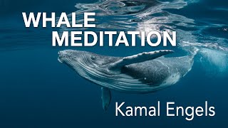 Whale Meditation [upl. by Yakcm]