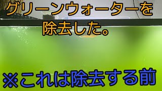 殺菌灯を使わずにグリーンウォーターを除去する方法 [upl. by Asiaj]