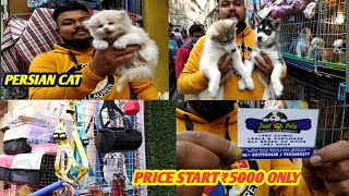 quotJUST PETSquotNEW PET SHOP AT KOLKATA SHYAMBAZAR RARE amp CHEAPEST PETS AND PETS ACCESSORIES [upl. by Wyly]