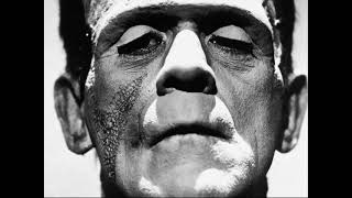 Frankenstein o il moderno Prometeo di M Schelley  estratto [upl. by Donata]