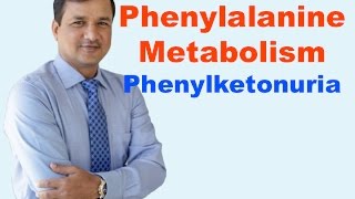 Phenylalanine and Phenylketonuria [upl. by Ive]