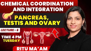 Pancreas Testis and Ovary Lecture 6  Chemical Coordination and Integration Ritu Rattewal [upl. by Adnawyek]