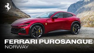 The Ferrari Purosangue  Norway [upl. by Phedra]