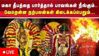 🔴நேரலை திருவண்ணாமலை கார்த்திகை தீபம் 2024 மகா தீபத் திருவிழா  திருவண்ணாமலை நேரலை  மகா தீபம் [upl. by Nena]