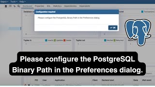 pgAdmin Guide Solving the quotPlease configure the PostgreSQL Binary Pathquot Issue [upl. by Alitta]