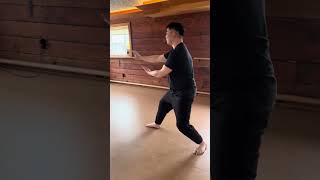 Taichi 24 form with Howie Leung [upl. by Silenay]