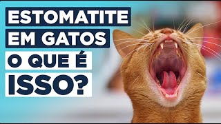 GENGIVITE SINTOMAS E TRATAMENTOS com Dr Pedro Albertoni [upl. by Dnomde95]