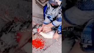 Short video of slaughtering a desi chicken trending slaughterer viralvideo By Gull Baji [upl. by Ednalrym]