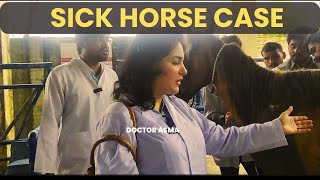 Another Horse Case in Riphah University Animal Clinic  Doctor Asma [upl. by Sinnal]