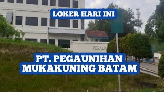 PT PEGAUNIHAN MUKAKUNING LOKER BATAM HARI INI IKLAN KOTA BATAM [upl. by Ragnar]