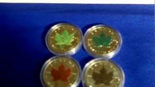 Die Silbermünze Maple Leaf Jahreszeiten in Farbe  4 er Set  1244 g Silber  nur kleine Auflage [upl. by Gnel]